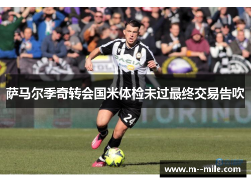 萨马尔季奇转会国米体检未过最终交易告吹